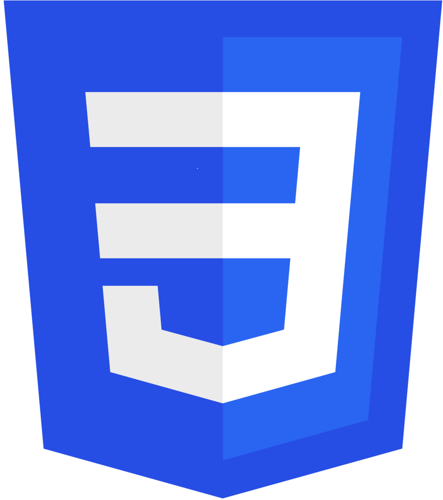 CSS Logo